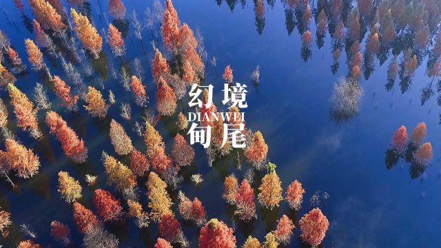 被家暴时,妻子应该怎么阻止家暴行为?-一个汇集信息的红迪网论坛